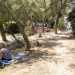 Arenile che  circondato da bassi alberi che regalano zona dombra ambite durante le giornate pi calde